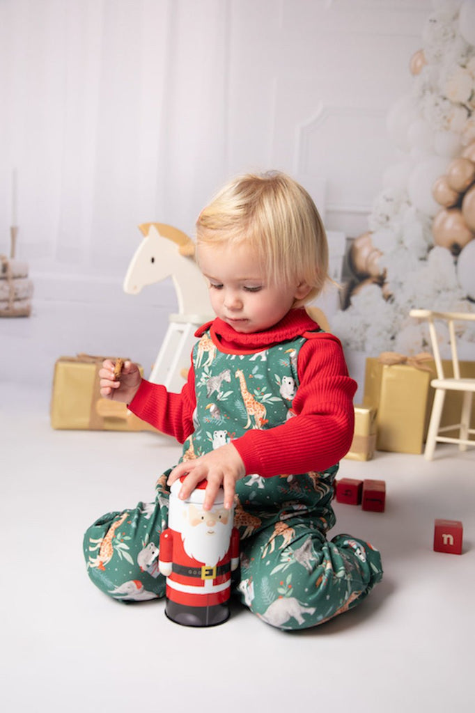 Jingle Jungle Christmas Romper/Dungaree - CharleysWildWorld