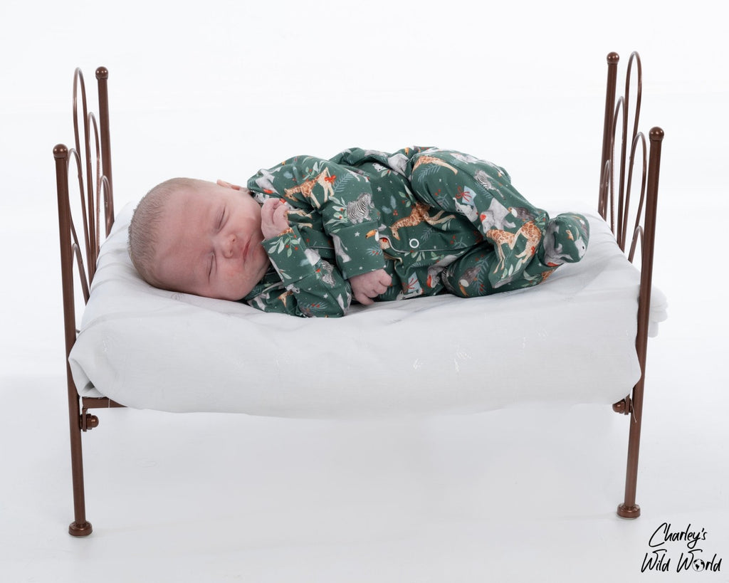 Jingle Jungle Sleepsuit - CharleysWildWorld